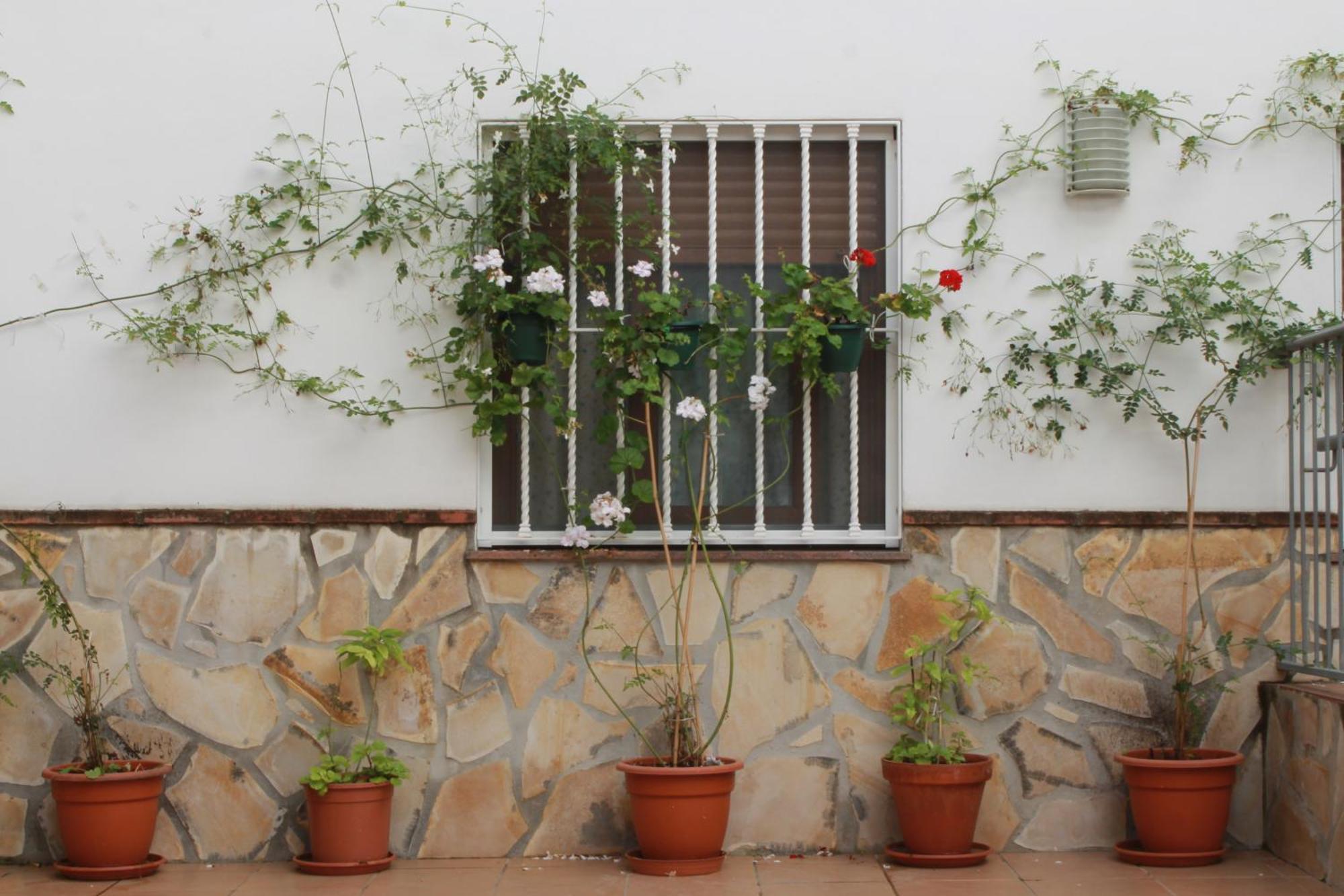 Casa Secreta Velez-Malaga Centro Apartment Ngoại thất bức ảnh