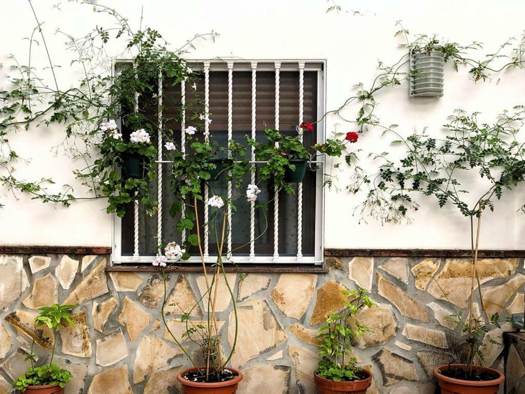 Casa Secreta Velez-Malaga Centro Apartment Ngoại thất bức ảnh